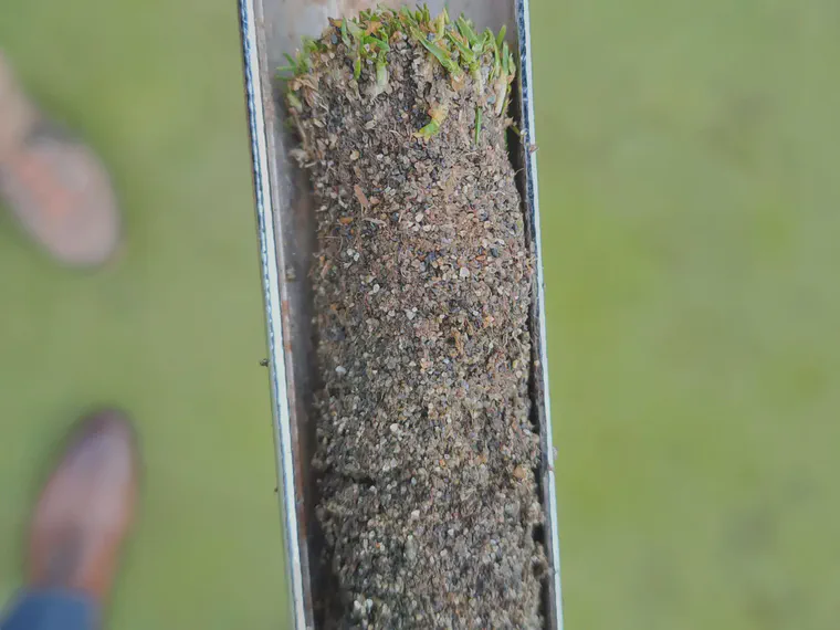 A core from one of the Olympic View greens when I visited in March 2023.