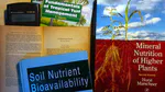 Concerning the availability of nutrients in soil