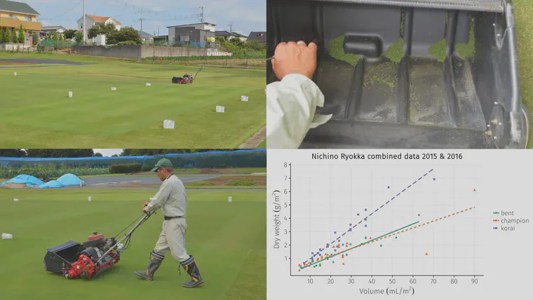 Experimental data collected in 2015 and 2016 at the Nichino Ryokka research facility in Yotsukaido, Japan, confirmed the predictive relationship between clipping volume and clipping dry weight for creeping bentgrass, ultradwarf bermudagrass, and manilagrass.