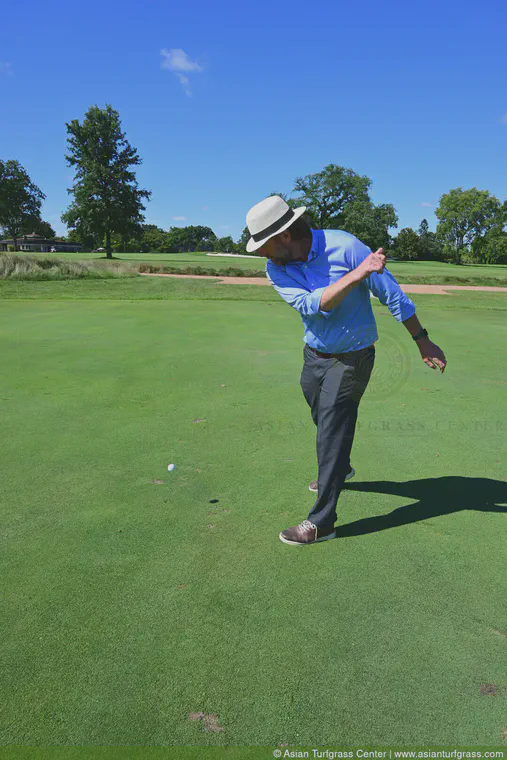 Bouncing balls at North Shore CC, August