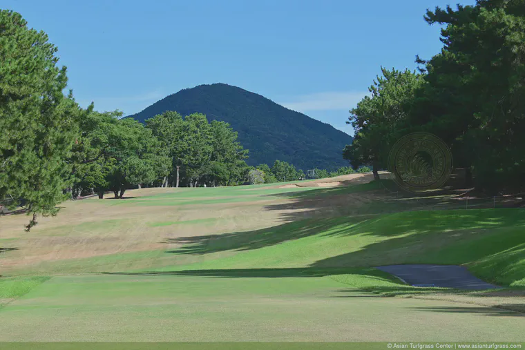 The 16th hole at Keya Golf Club during the KBC Augusta Tournament, August