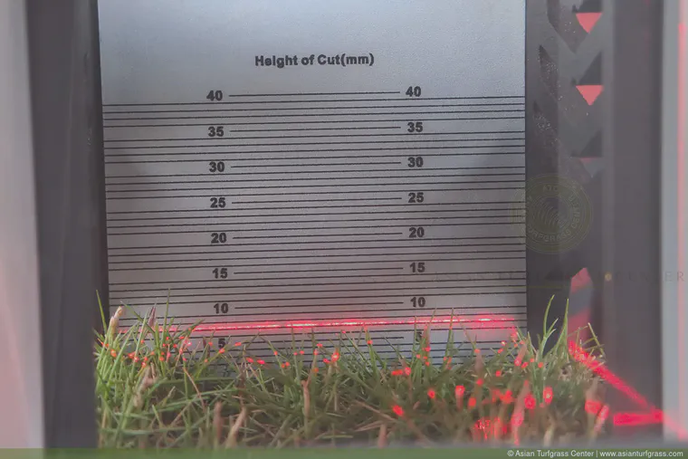 Laser height of cut gauge on fine bladed zoysia, February