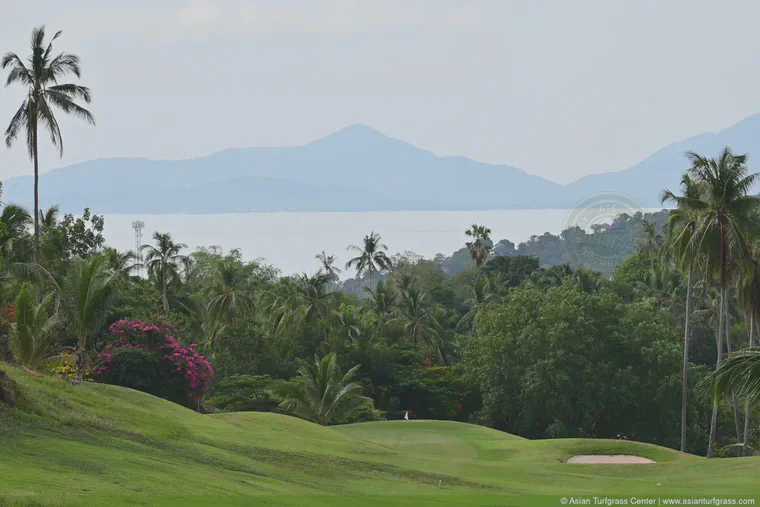 View of Ko Phangan in the distance from the Santiburi Samui GC, July