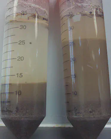 Soil at left is mixed with a dilute salt solution; soil at right was mixed with deionized water.