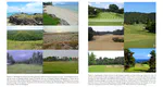 Manilagrass is the best choice for links-style golfing surfaces in East and Southeast Asia