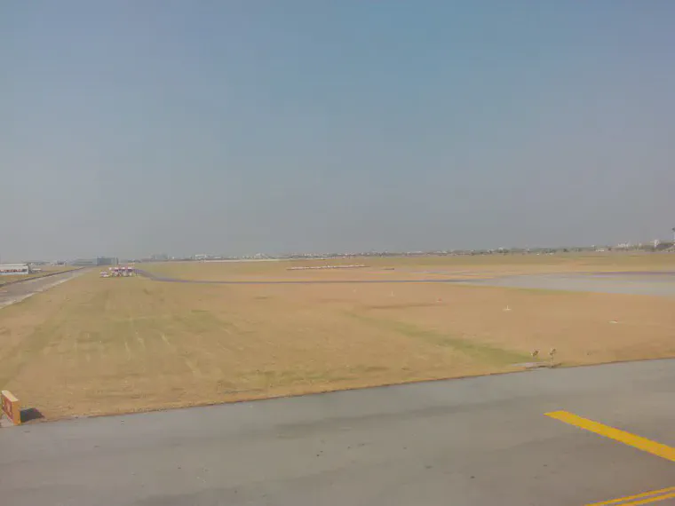 Native grasses at BKK when it hasn't rained for months.