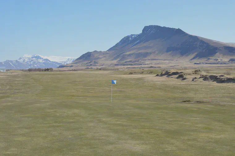 Golf turf in early summer at Akranes, Iceland.