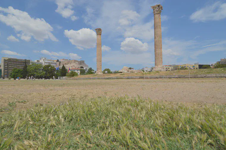 *Cynodon* and *Hordeum* in Athens.