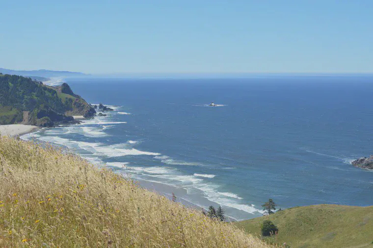 At the Cascade Head Prairie, some of the same species as found at Harpenden.