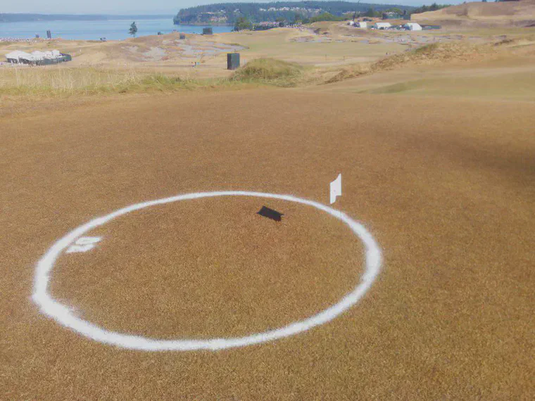 Amazing color of fine fescue at Chambers Bay.