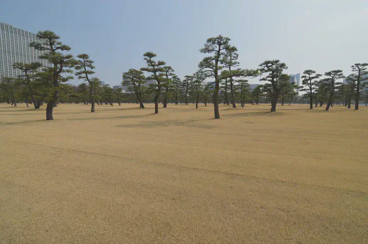 Korai lawns in central Tokyo.