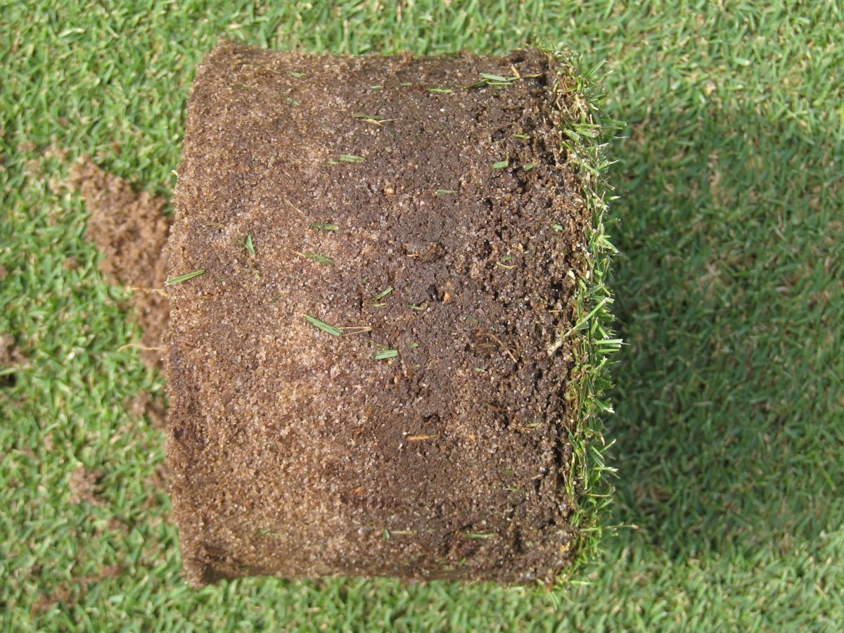 soil-organic-matter-should-be-invigilated-asian-turfgrass-center