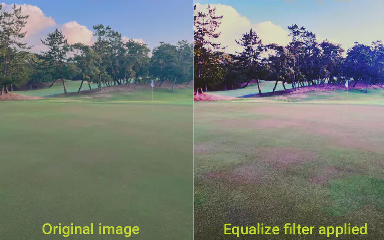 Paired soil samples were collected from the strongest (good) and weakest (bad) areas on greens at this course. Soil P was measured at the 0--5 cm depth and at the 5--10 cm depth.