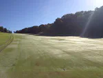 What is causing the splotchy dew pattern on this fairway?