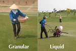 Why "Liquid" fertilization is better terminology than "Foliar" fertilization